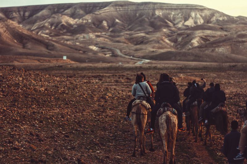 cheval - photo paysage